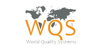 world quality systems logo 2